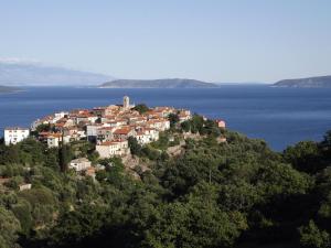 a village on a hill in the middle of the water at Villa Frane 101 in Beli