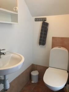 uma casa de banho com um WC branco e um lavatório. em Broby Bed & Breakfast entréplan em Nyköping