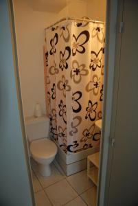 ein Badezimmer mit Toilette und Duschvorhang in der Unterkunft studio bord de mer, SAINT MALO in Saint-Malo