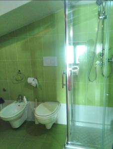 a bathroom with a shower and a toilet and a sink at La casetta in Ortona