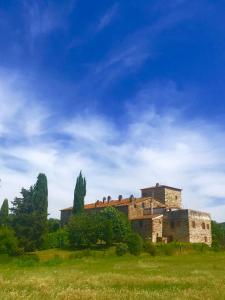 een oud gebouw in een veld met een blauwe lucht bij Case di Vetulonia in Castiglione della Pescaia