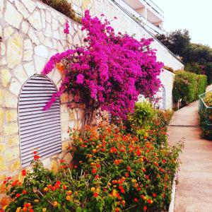 a bunch of flowers on the side of a building at La terrazza di monaco in Cap d'Ail