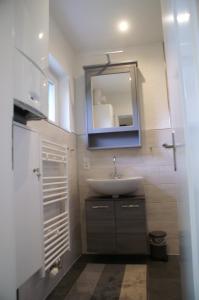 a bathroom with a sink and a mirror at Ferienhaus-4Seasons in Gönnersdorf