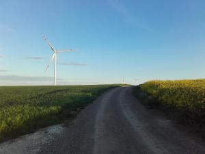 Przyroda w pobliżu tego apartamentu