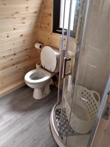 a bathroom with a toilet and a glass shower at shanagarry / Ballycotton Glamping pod in Cork