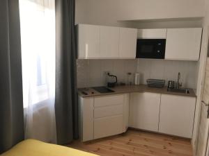 Kuchnia lub aneks kuchenny w obiekcie Apartamenty Mikubo Wrocław