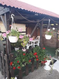 Zahrada ubytování Apartments Hrga