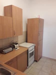 Kuchyň nebo kuchyňský kout v ubytování Apartments Hrga