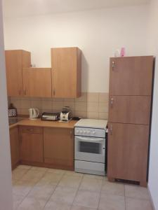 Kuchyň nebo kuchyňský kout v ubytování Apartments Hrga