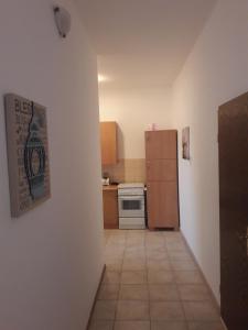 Kuchyň nebo kuchyňský kout v ubytování Apartments Hrga