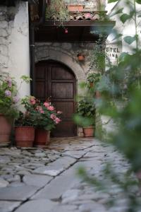 an entrance to a building with a wooden door and potted plants at Guest House Mikel in Berat