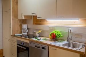 Kuchyňa alebo kuchynka v ubytovaní Apartments Schlossblick - Wohnung Rosengarten