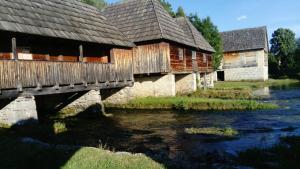 Príroda v okolí apartmánu