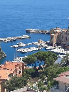 a view of a marina with boats in the water at La terrazza di monaco in Cap d'Ail