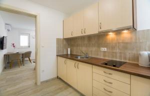 a kitchen with a sink and a counter top at Felix in Promajna