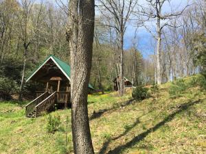 a cabin in the woods with a tree at Little River Cabin in Sparta