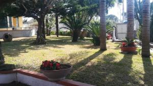 Fotografie z fotogalerie ubytování CALLIMACO'S HOME Comfort e Deluxe v destinaci Capaccio-Paestum