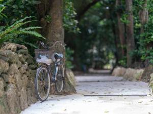 在Marea Resort Motobu内部或周边骑自行车