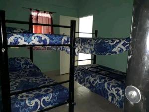 2 Etagenbetten in einem Zimmer mit Fenster in der Unterkunft Hostel Odorico in San José