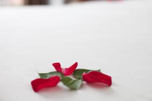 Fotografie z fotogalerie ubytování Hanoi Bel Ami Hotel v Hanoji