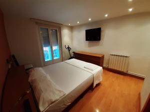 a bedroom with a large bed and a flat screen tv at En el Centro de Pamplona, La Taconera in Pamplona