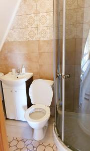 a bathroom with a toilet and a sink and a shower at Vila G Palanga in Palanga +12 photos
