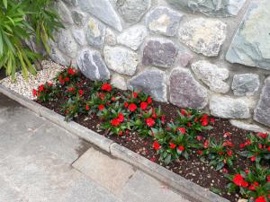 A garden outside Home Iseo Lake