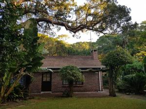 Zahrada ubytování Versteek, Bokkie se le plek