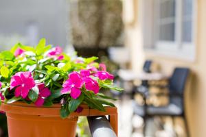 A garden outside B&B Le City