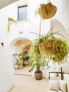 um quarto com vasos de plantas e uma lareira em GH Dimora Sant'Anna em Carovigno