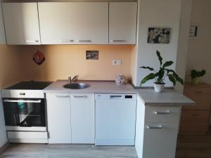 uma cozinha com armários brancos e um lavatório em Peaceful View Apartment em Koper