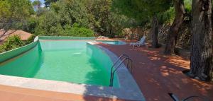 una piscina con 2 sillas junto a un árbol en casa vacanze argentarola, en Porto Santo Stefano