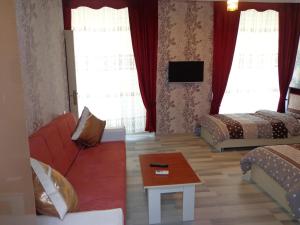 舍基的住宿－Tubram S Ailəvi Qonaq Evi，客厅配有沙发和1张床