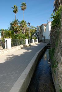 a street next to a river with palm trees at Apartamento el Benicadell in Adzaneta de Albaida