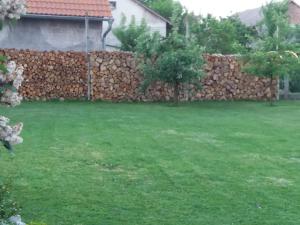 Ogród w obiekcie Smx Apartement