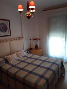 a bedroom with a bed with a blue plaid blanket at Apartamento A Peregrina (Silgar, Sanxenxo) in Sanxenxo
