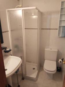 a bathroom with a shower and a toilet and a sink at Apartamento A Peregrina (Silgar, Sanxenxo) in Sanxenxo