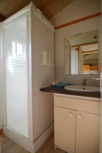 La salle de bains est pourvue d'un lavabo et d'un miroir. dans l'établissement Les Chalets de Condrieu, à Condrieu