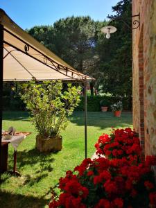 モンテプルチャーノにあるFrateria Di San Benedettoの赤い花と傘を植えた庭園