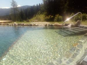 a large pool of water with a fountain in it at Gsenghof in Filzmoos