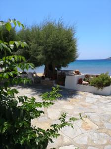 un árbol en una playa con el océano en el fondo en Lemonia Rooms, en Platis Yialos Sifnos