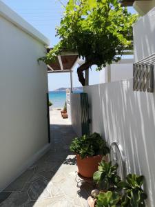 patio z roślinami doniczkowymi obok białego płotu w obiekcie Lemonia Rooms w mieście Platis Gialos Sifnos