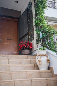 Fotografie z fotogalerie ubytování DINA'S HOUSE v destinaci Volos