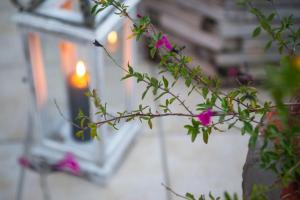 Fotografie z fotogalerie ubytování DINA'S HOUSE v destinaci Volos