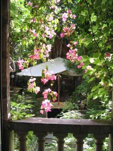 a garden with pink flowers and an umbrella at Le Windsor, Jungle Art Hotel in Nice