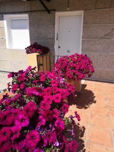 a bunch of pink flowers in front of a house at Casa Xuncal in Tui