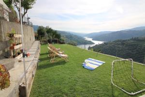 uma vista para um campo de relva com uma rede em Douro Mesio Guest House em Resende mais 18 fotografias