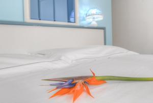 Posteľ alebo postele v izbe v ubytovaní Hotel Arabesque