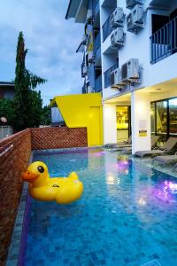 Sleep Mai Thapae Chiang Mai Old City Lifestyle Hotel - SHA Plus في شيانغ ماي: مسبح بطه مطاطيه صفراء في الماء