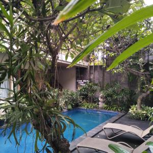 a swimming pool in a garden with chairs and trees at Jukung Guest House in Sanur